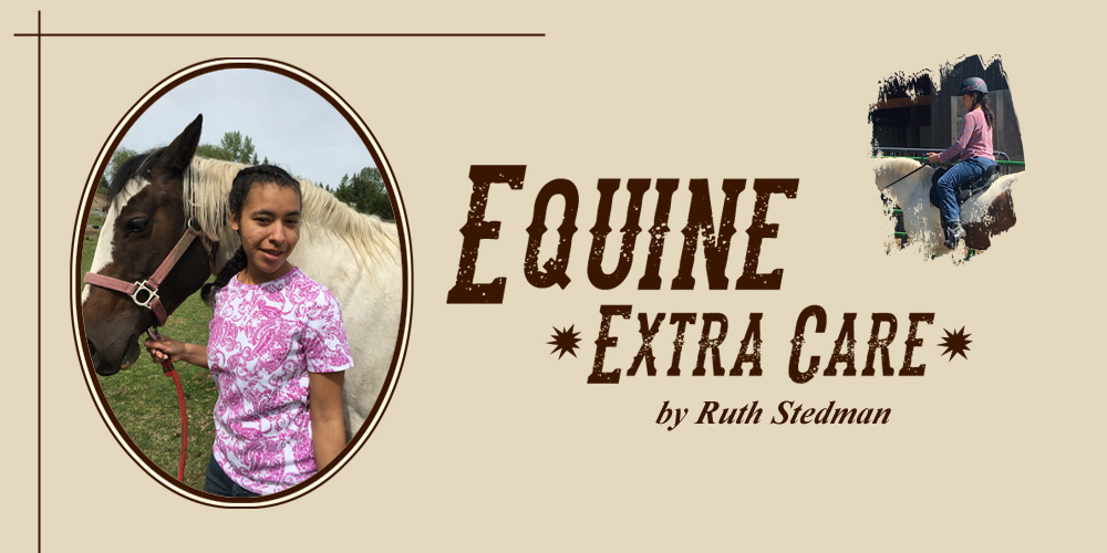 horse care, 
          horseback riding, horse brushing, horse walking and horse stall cleaning Kalispell, Montana